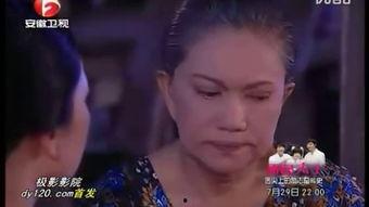 泰电视剧宫国语版免费,穿越时空的宫廷爱恋，揭秘神秘皇权背后的情感纠葛