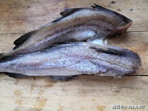 白泽黑科技吃瓜,揭秘神秘吃瓜背后的科技力量