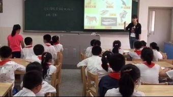 网上视频授课,开启教育新时代的便捷学习之旅