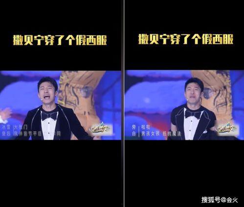 撒贝宁跳舞视频,欢乐舞步引网友热议
