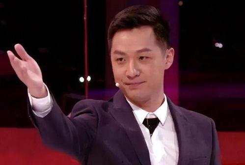 央视男主持人大全图片,魅力与专业并存
