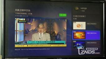 凤凰卫视中文台直播在线直播观看,实时掌握全球资讯，尽享精彩直播盛宴