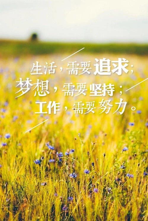 早安正能量图片,正能量满满，开启美好一天