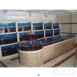 海鲜缸图片大全,海鲜缸图片大全赏析