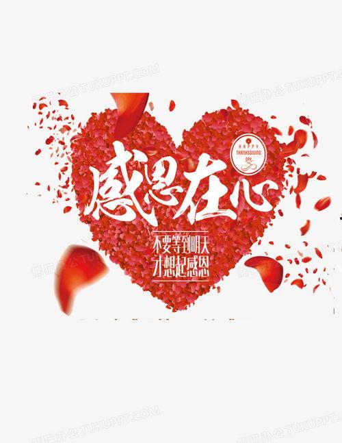 感恩的心图片大全集,图片大全集里的温馨故事