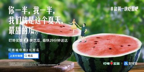 今日吃瓜文案,娱乐圈幕后故事一网打尽