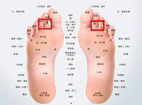 脚底血位图片大全,揭秘人体健康密码