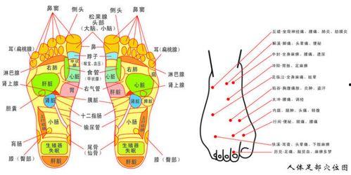 脚底血位图片大全,揭秘人体健康密码