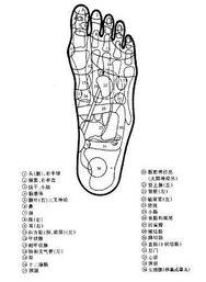 脚底血位图片大全,揭秘人体健康密码