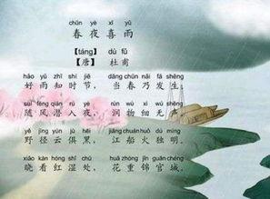 春夜喜雨视频,诗意盎然的雨夜奇观
