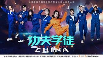 功夫学徒在线观看,在线解锁武术奥秘之旅