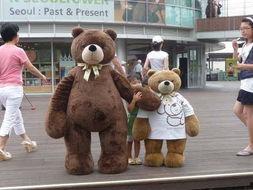 韩国teddy,引领潮流的时尚玩具传奇