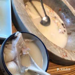 金钱敏鱼图片大全,色彩斑斓的海洋精灵