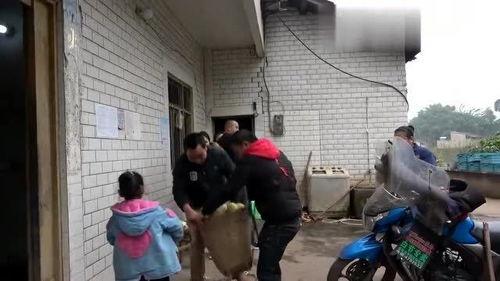 农村王四视频,揭秘农村生活新篇章