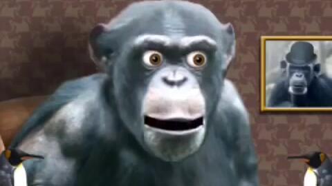 丧尸猫图片,揭秘神秘病毒下的恐怖猫变