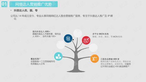 吃瓜爆料抖音网红ppt,PPT揭秘幕后真相