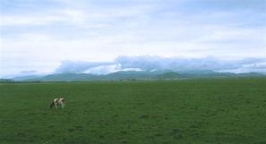 草原图片大全,自然画卷尽收眼底