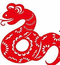 蛇年图片大全,精美蛇年图片大盘点