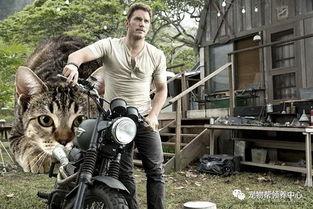 猎物国语,一场惊心动魄的生存游戏