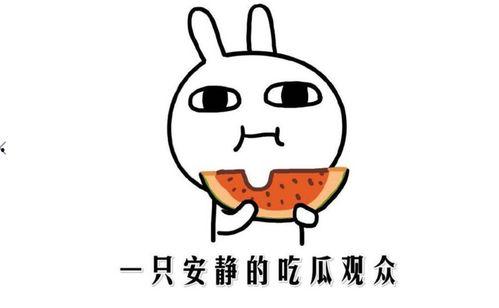 热门今日吃瓜黑料,揭秘娱乐圈最新吃瓜黑料，真相令人震惊！