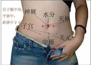揉腹部视频,健康生活新体验