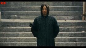 甄子丹苏乞儿国语,一代宗师传奇人生