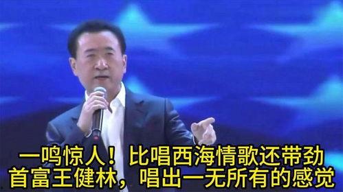 王健林西海情歌视频,商业巨头变身歌手，深情诠释西部风情