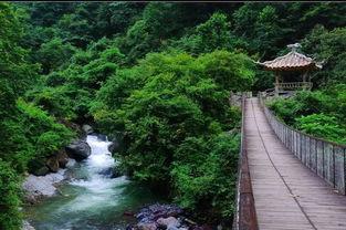 山谷在线观看,穿越自然奇观，感受心灵震撼之旅