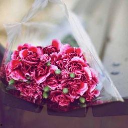 微信图片花朵大全