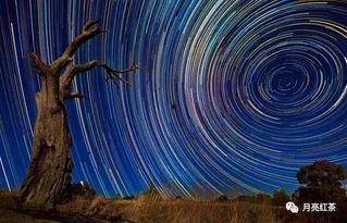 夜空彩绘最新吃瓜爆料,娱乐圈最新吃瓜爆料大起底