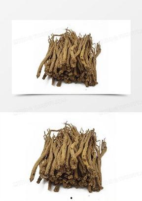 党参图片大全,探寻中医药宝库中的瑰宝