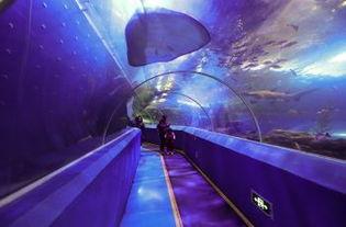 海底隧道图片,海底隧道全景揭秘